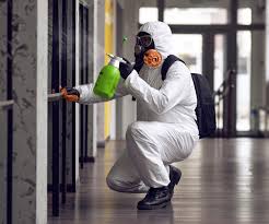 Trusted Worthington, OH Mold Removal & Remediation Experts